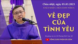 Vẻ đẹp của tình yêu - Lm GB Phương Đình Toại, MI | CN 2 MC năm A