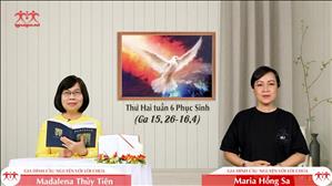 Làm chứng về Thầy - Thứ Hai tuần 6 Phục sinh (Ga 15, 26-16,4)