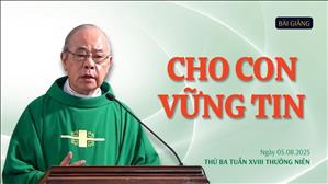 Cho con vững tin - Lm Rôcô Nguyễn Duy | Thứ Ba tuần XVIII Thường niên