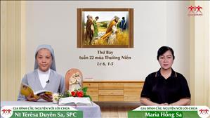 Giữ Luật Trong Tự Do - Thứ Bảy tuần XXII Thường niên (Lc 6, 1-5)