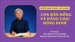 Bài 58: Con rắn đồng và Đấng chịu đóng đinh | Dưới ánh sáng Lời Chúa