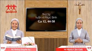 Gia đình cầu nguyện với Lời Chúa: Thứ Tư tuần 4 Phục Sinh (Ga 12, 44-50)