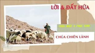 Lời & Đất Hứa - CN 4 Phục sinh năm C: Chúa Chiên Lành