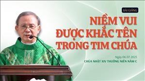 Niềm vui được khắc tên trong tim Chúa - Lm Giuse Vũ Hữu Hiền | Chúa nhật XIV Thường niên năm C