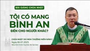 Tôi có mang bình an đến cho người khác? - Lm GB Phương Đình Toại, MI | CN XIV TN năm C