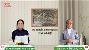 Nghe mà không thực hành - Thứ Bảy tuần 23 mùa Thường niên (Lc 6, 43-49)