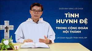 Bài 30: Tình huynh đệ trong cộng đoàn Hội Thánh | Dưới ánh sáng Lời Chúa