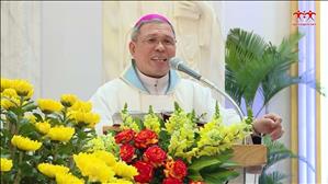 Bài giảng của ĐGM Giuse Bùi Công Trác | Thánh lễ Tạ ơn Tất niên năm Ất Tỵ