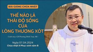 Thế nào là thái độ sống của Lòng Thương Xót - Lm GB Phương Đình Toại, MI | CN II PS