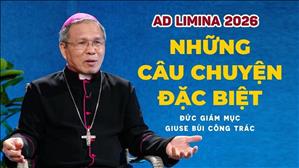 AD LIMINA 2026: Những câu chuyện đặc biệt