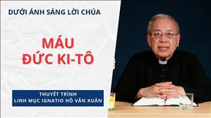 Bài 17: Máu Đức Ki-tô | Dưới ánh sáng Lời Chúa