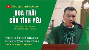 Hoa trái của tình yêu - Lm GB Phương Đình Toại, MI | CN 27 TN năm A
