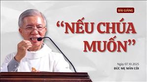 Nếu Chúa muốn - Lm Phanxicô Xaviê Bảo Lộc | Đức Mẹ Mân Côi