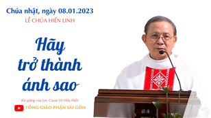 Hãy trờ thành ánh sao - Lm. Giuse Vũ Hữu Hiền | Lễ Chúa Hiển Linh
