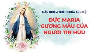 Đức Maria - Gương mẫu của người tín hữu | Mầu Nhiệm Thiên Chúa Cứu Độ