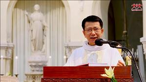 TGP Sài Gòn - Bài giảng ngày 08-9-2020: Sinh Nhật Đức Mẹ - Con cái là quà tặng của Thiên Chúa