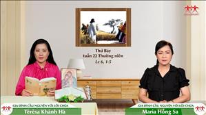 Gia đình cầu nguyện với Lời Chúa: Thứ Bảy tuần 22 Thường niên (Lc 6, 1-5)