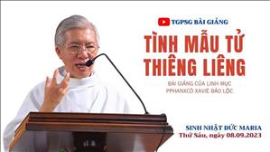 Tình mẫu tử thiêng liêng - Lm Phanxicô Xaviê Bảo Lộc | Sinh nhật Đức Trinh nữ Maria