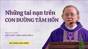 Những tai nạn trên CON ĐƯỜNG TÂM HỒN - Lm Giuse Vũ Hữu Hiền | Chúa nhật II mùa Vọng năm A