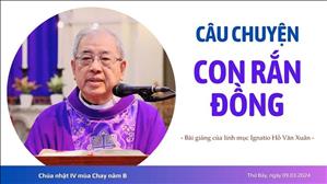 Câu chuyện con rắn đồng - Lm Ignatio Hồ Văn Xuân | CN IV MC năm B