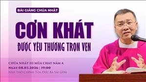 Cơn khát được yêu thương trọn vẹn - Lm GB Phương Đình Toại, MI | CN III MC năm A
