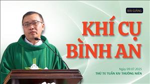Khí cụ bình an - Lm GB Phương Đình Toại, MI | Thứ Tư tuần XIV Thường niên