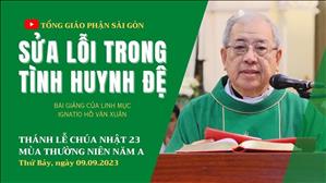 Sửa lỗi trong tình huynh đệ - Lm Ignatio Hồ Văn Xuân | CN 23 TN năm A