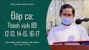 Chúa nhật 28 TN năm B - Đáp ca: Tv 89, 12-13. 14-15. 16-17