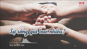Tình nguyện viên tuyến đầu: Sự sống giá bao nhiêu?