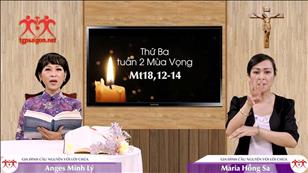 Gia đình cầu nguyện với Lời Chúa: Thứ Ba tuần 2 MV (Mt 18,12-14)
