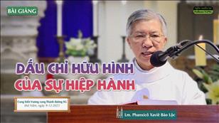 TGP Sài Gòn trực tuyến 9-12-2021: Cung hiến Vương Cung Thánh đường Sài Gòn lúc 5:30 tại Nhà thờ Chính tòa Đức Bà