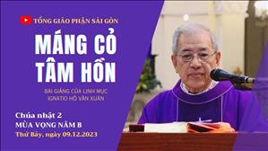 Máng cỏ tâm hồn - Lm Ignatio Hồ Văn Xuân | CN 2 MV năm B