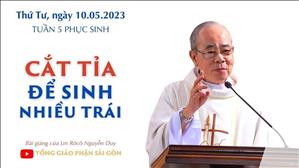 Cắt tỉa để sinh nhiều trái - Lm Rôcô Nguyễn Duy | Thứ Tư tuần 5 PS