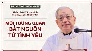 Mối tương quan bắt nguồn từ tình yêu - Lm Ignatio Hồ Văn Xuân | CN IV PS năm C