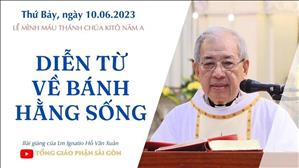 Diễn từ về Bánh Hằng Sống - Lm Ignatio Hồ Văn Xuân | Lễ Mình Máu Thánh Chúa năm A