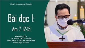 Chúa nhật 15 TN năm B - Bài đọc I: Am 7, 12-15
