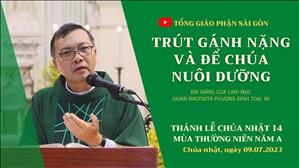 Trút gánh nặng và để Chúa nuôi dưỡng - Lm GB Phương Đình Toại, MI | CN 14 TN năm A