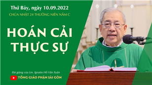 CN 24 TN năm C - Hoán cải thực sự