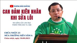 Can đảm - kiên nhẫn khi sửa lỗi - Lm Phêrô Trần Anh Tú, SDB | CN 23 TN năm A