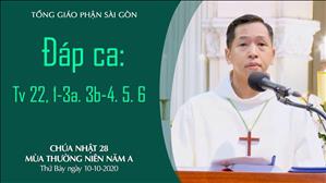 CN 28 TN A - Đáp ca: Tv 22, 1-3a. 3b-4. 5. 6