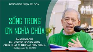 CN 28 TN A - Bài giảng: Sống trong ơn nghĩa Chúa