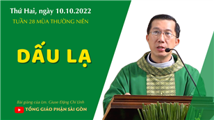 TGPSG Bài giảng: Thứ Hai tuần 28 mùa Thường niên ngày 10-10-2022 tại Nhà nguyện Trung tâm Mục vụ TGP Sài Gòn