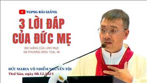3 lời đáp của Đức Mẹ - Lm GB Phương Đình Toại, MI | Đức Maria Vô Nhiễm Nguyên Tội