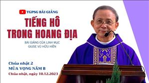 Tiếng hô trong hoang địa - Lm Giuse Vũ Hữu Hiền | CN 2 MV năm B