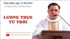 Lương thực từ trời - Lm Phêrô Trần Anh Tú, SDB | CN Lễ Mình Máu Thánh Chúa năm A