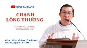 Chạnh lòng thương - Lm Giuse Đặng Chí Lĩnh | Thứ Ba tuần 14 TN