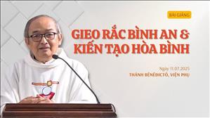 Gieo rắc bình an & kiến tạo hòa bình - Lm Phêrô Nguyễn Văn Hiền | Thứ Sáu tuần XIV mùa Thường niên