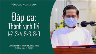 Chúa nhật 24 TN năm B - Đáp ca: Tv 114, 1-2. 3-4. 5-6. 8-9