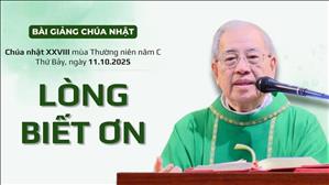 Lòng biết ơn - Lm Ignatio Hồ Văn Xuân | CN XXVIII TN năm C