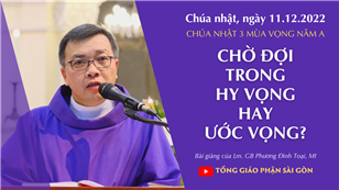 Chờ đợi trong hy vọng hay ước vọng? - Lm. GB Phương Đình Toại, MI | CN 3 mùa Vọng năm A